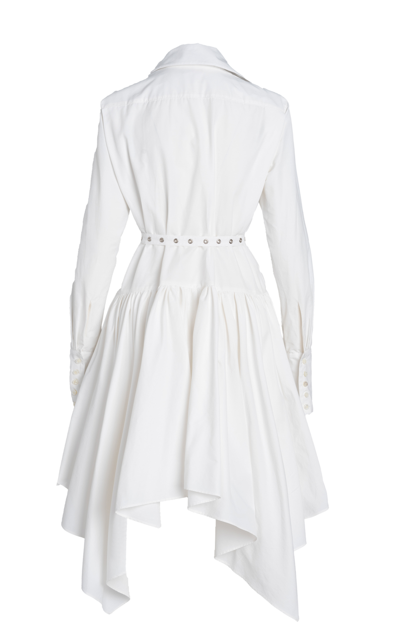 THE PASTIS BELTED SHIRT DRESS